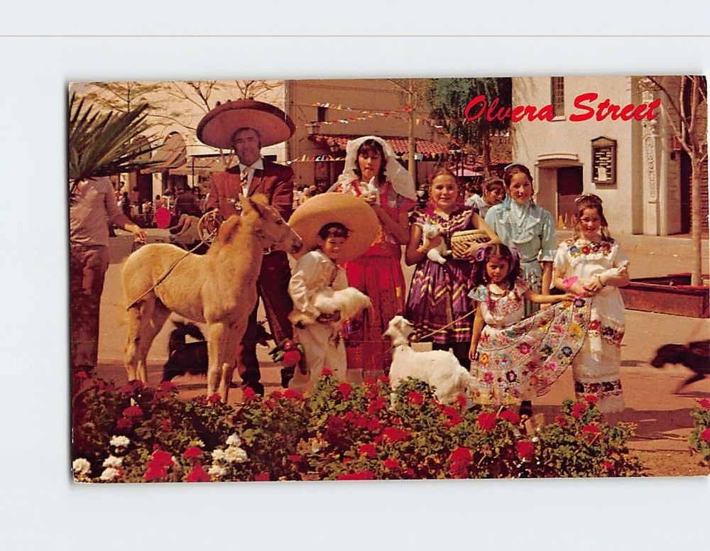 Postcard Olvera Street Los Angeles California USA