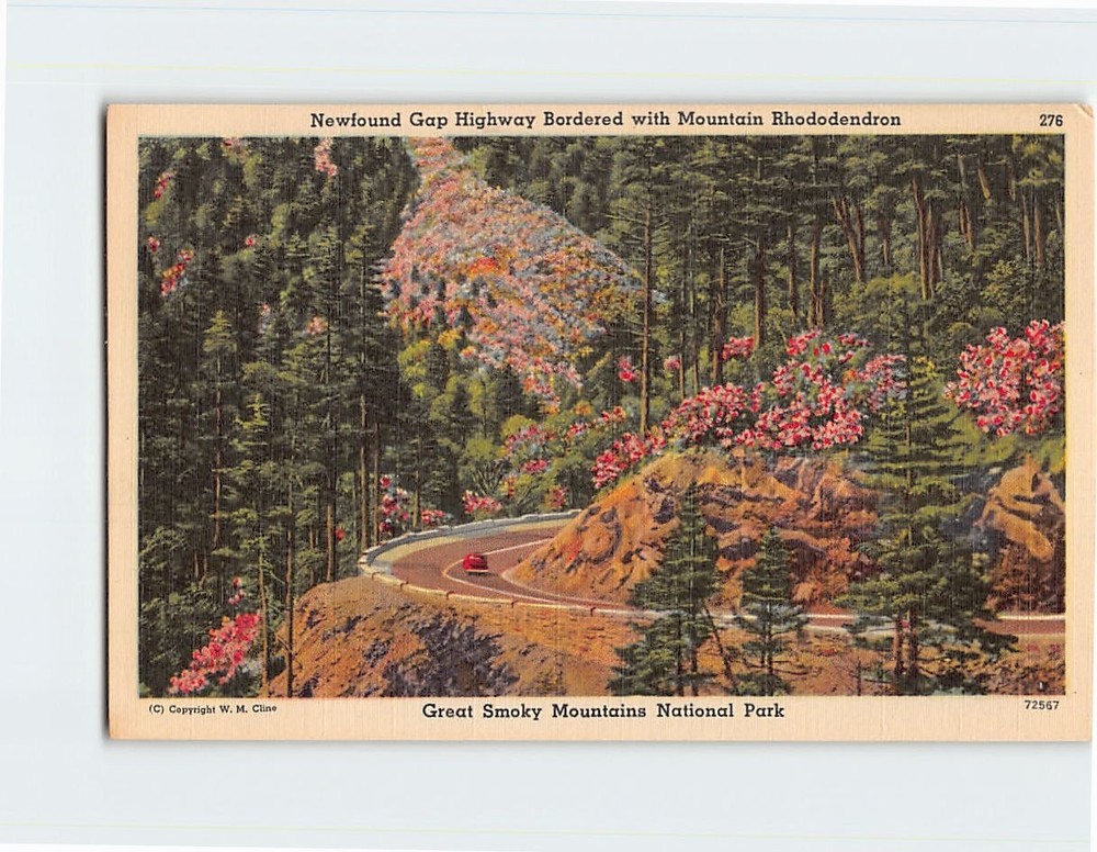 Postcard Newfound Gap Highway Great Smoky Mountains National Park USA