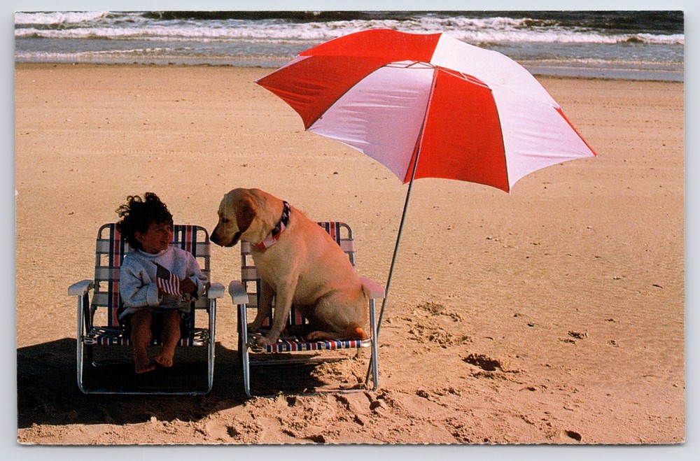 Animal~Girl W/ Dog In Chairs On Beach~North Shore Animal League~Vintage Postcard
