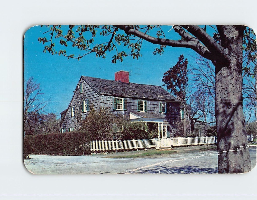 Postcard Hollyhocks Southampton Long Island New York USA