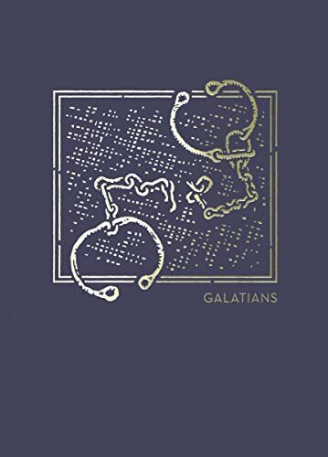 NET Abide Bible Journal - Galatians Study from Taylor University