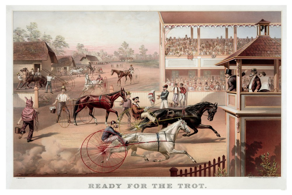 Decor Horse Poster. Fine Graphic Art. Ready for the Trot. Home Wall Design. 1151