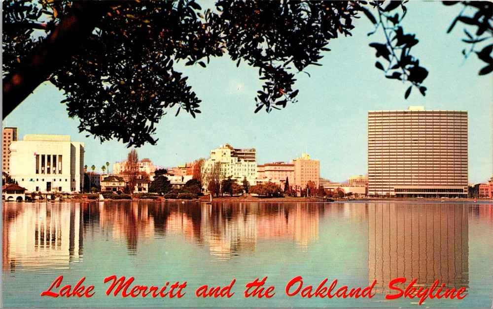 View of Oakland Skyline from Lake Merritt California Vintage Postcard