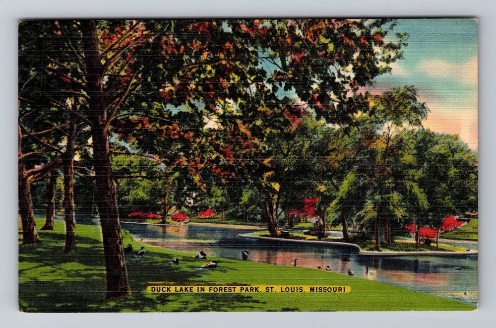 St Louis MO-Missouri Duck Lake in Forest Park Vintage Postcard