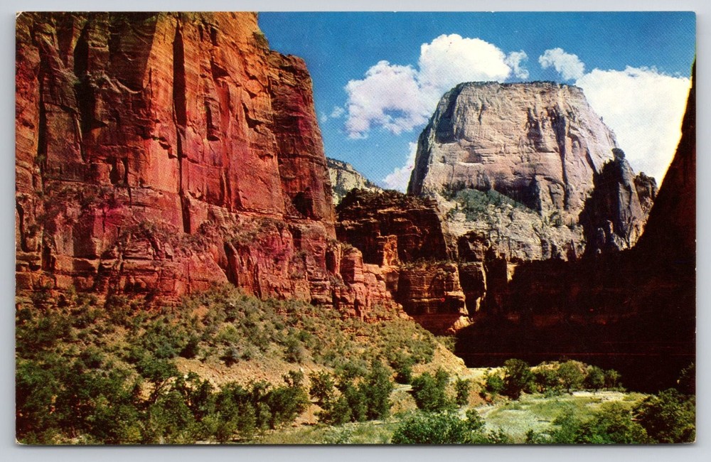 Great White Throne Zion National Park Utah Chrome Postcard Mike Roberts