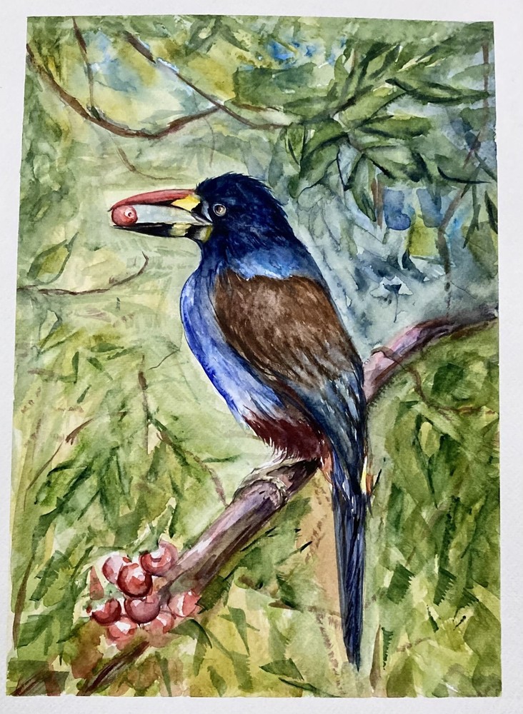 Tropical Bird Original Watercolor Painting on Paper