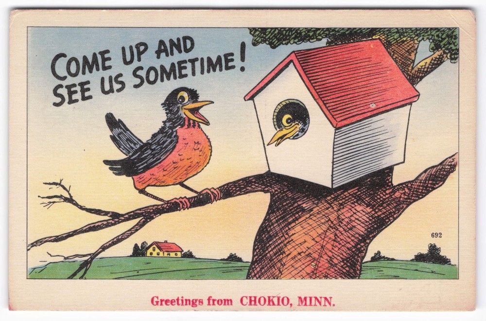 Vintage Chokio MN Postcard Comic Robin Birdhouse Come Up See Us Sometime!