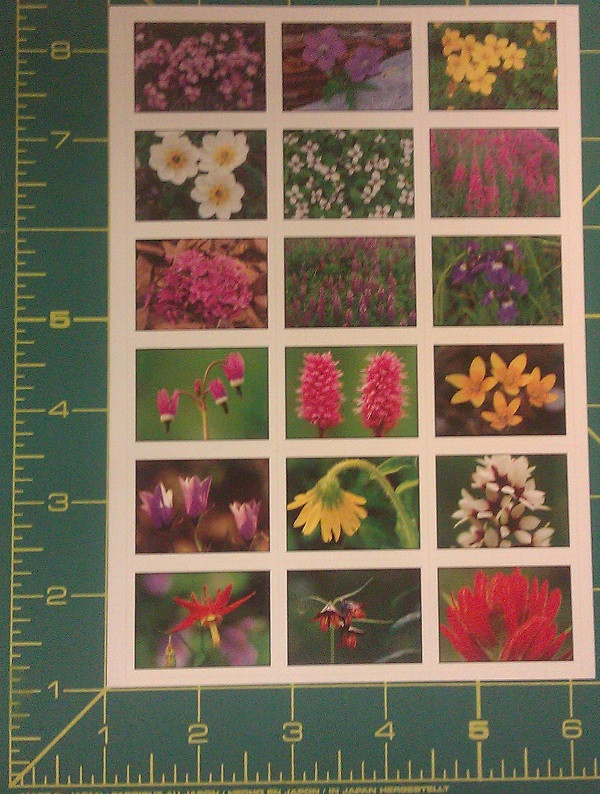 Acid Free Alaska Wildflower scrap book Stickers - beautiful collectible sticker-image
