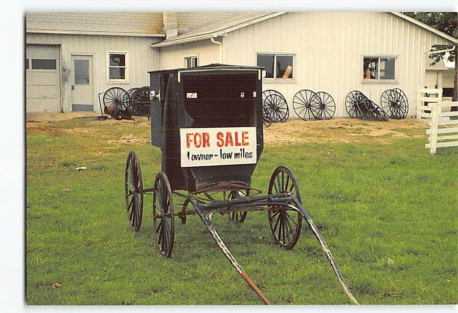 Postcard Amish Buggy For Sale