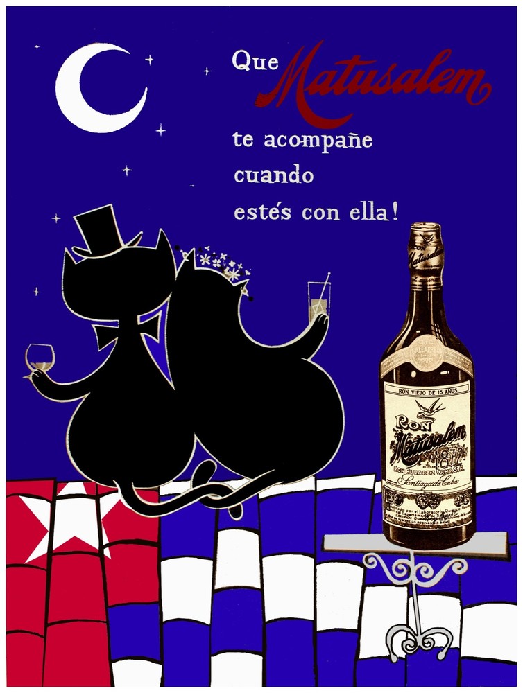 7487.Decoration Poster.Home Room design art.Cuban cats in love.Bar club decor