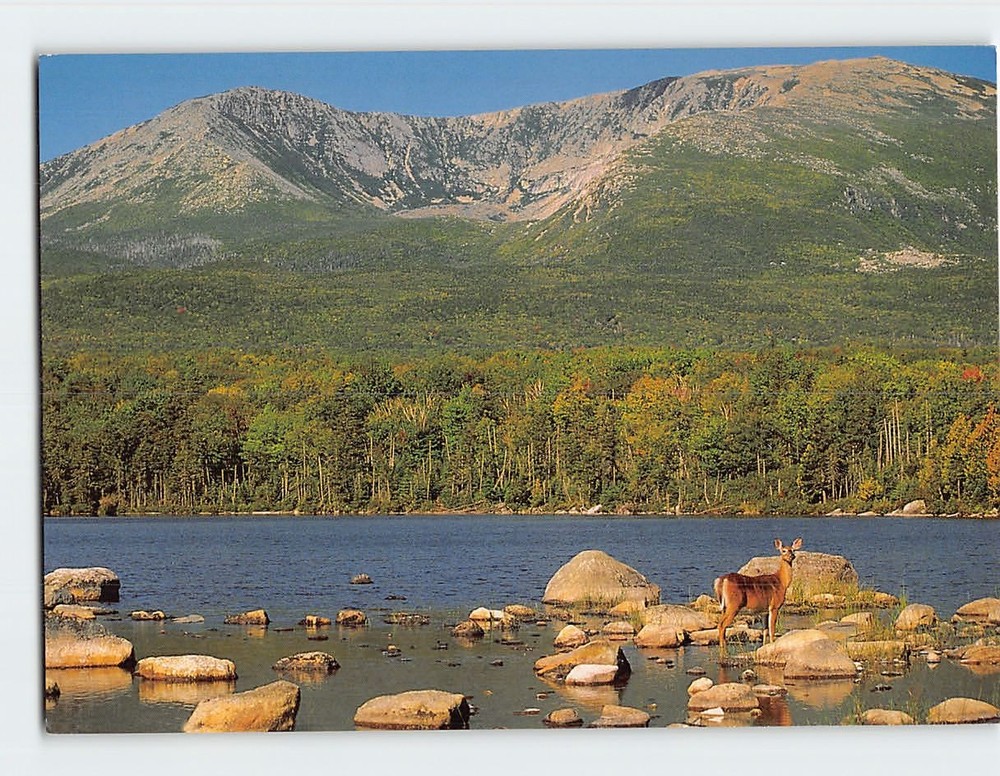 Postcard Sandy Stream Pond Baxter State Park Maine USA