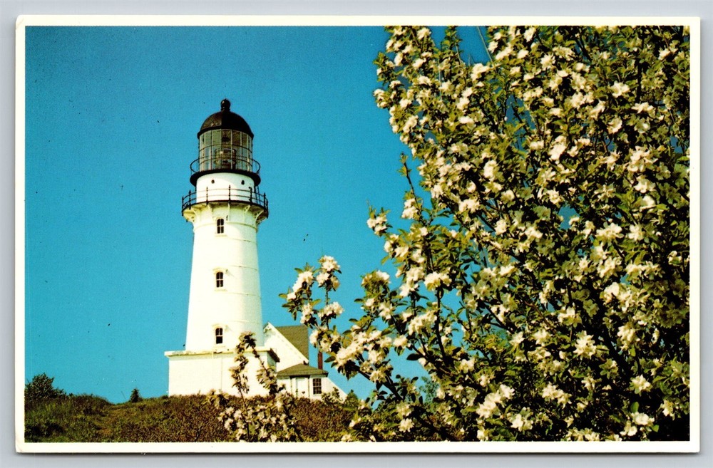 Maine Cape Elizabeth Two Light Lighthouse Postcard, C3
