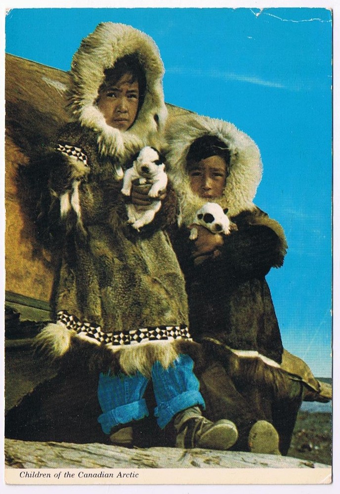 Postcard Eskimo Children Of The Canadian Arctic Land Of The Midnight Sun