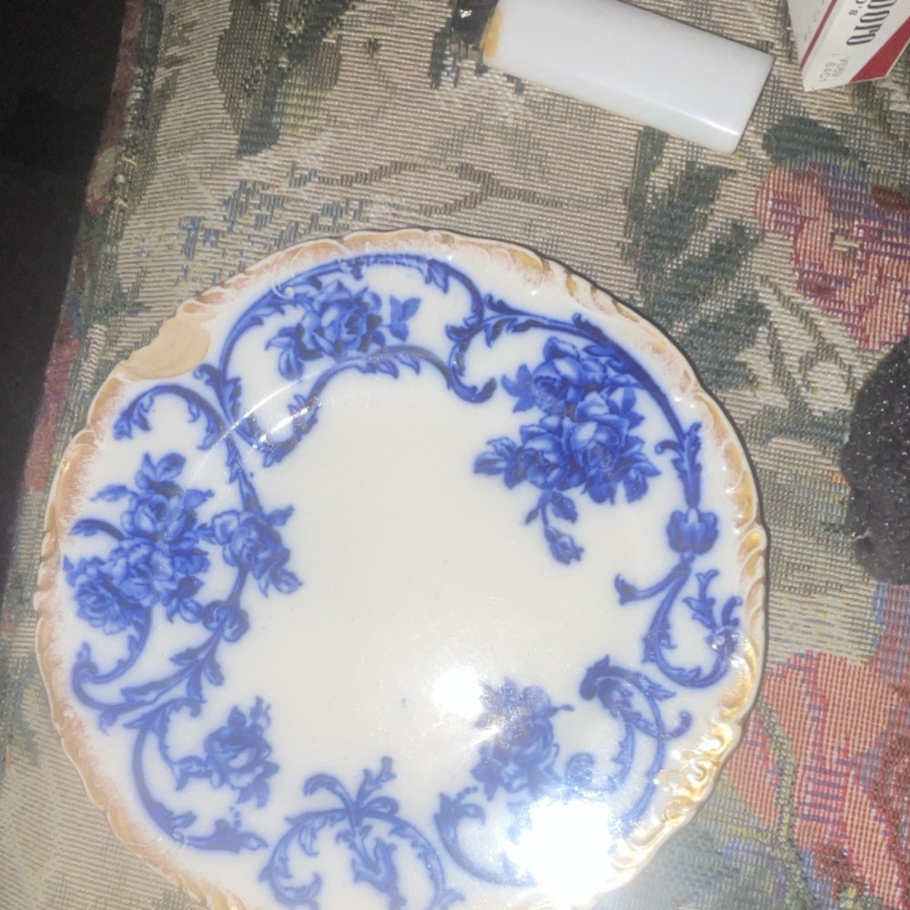 Porcelain Blue Floral Decorative Plate White Gold Trim Round Glossy Pottery