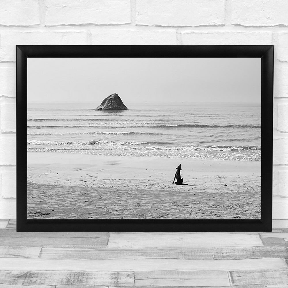 Baying Rocks Dog Ocean Rock Bay Ceylon Street Animal Animals Wall Art Print
