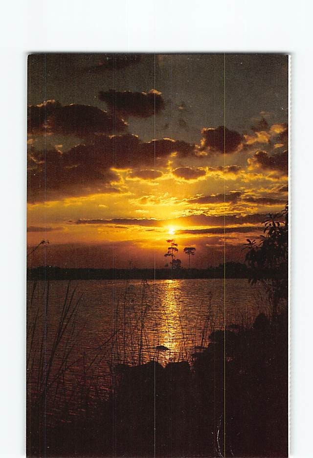 Postcard Sunset Everglades National Park Florida USA
