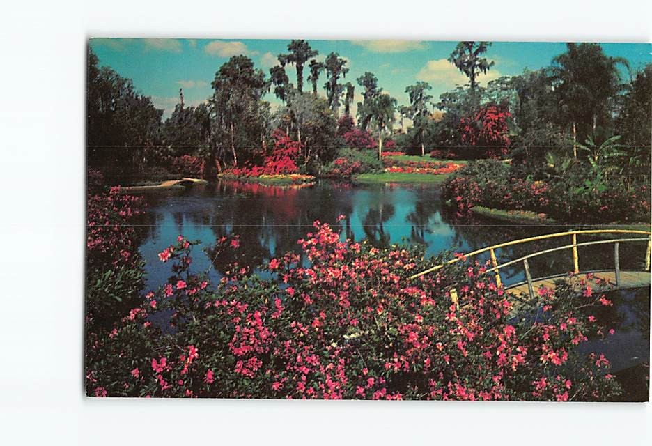 Postcard Famous Cypress Gardens Florida USA