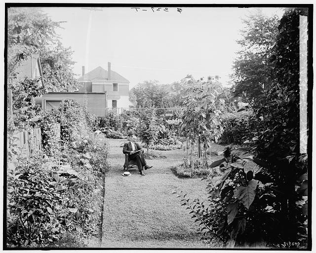 Garden,124 E Euclid Avenue,reading,dwellings,plants,Detroit,Michigan,MI,1905