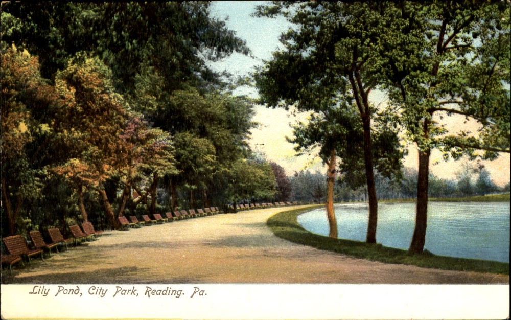 Lily Pond City Park Reading Pennsylvania PA ~ UDB c1905 vintage postcard