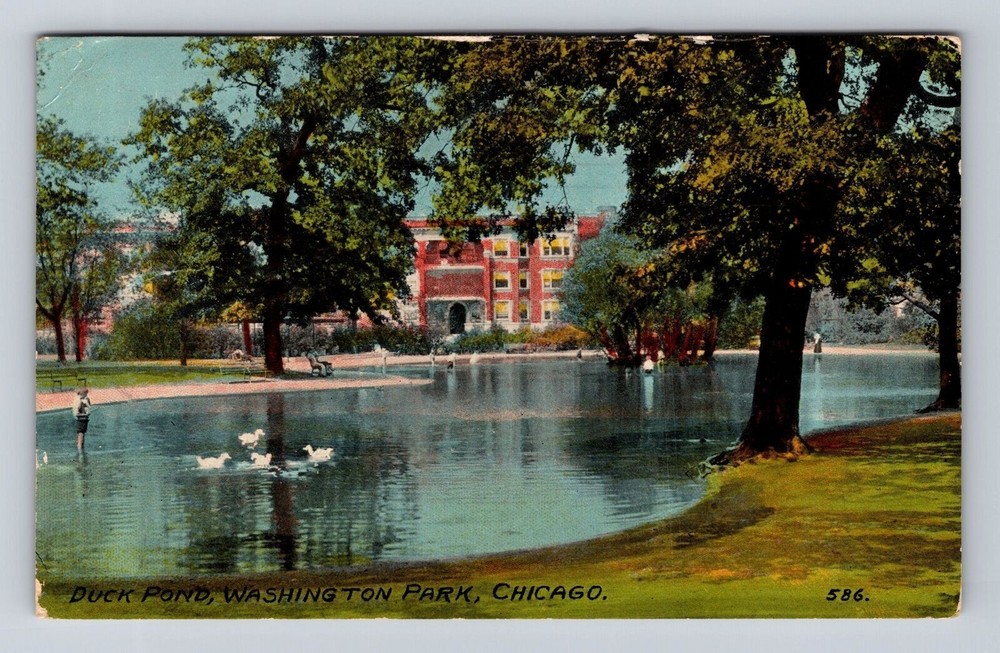 Chicago IL-Illinois, Duck Pond, Washington Park, Antique Vintage c1912 Postcard