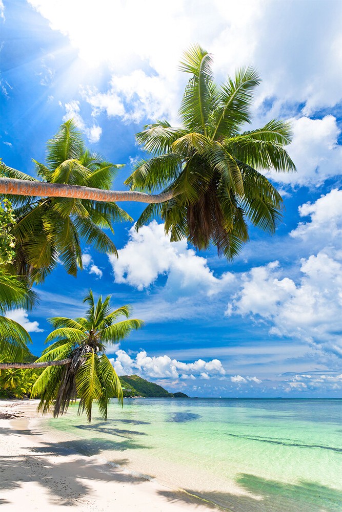 Blue Ocean Palm Seascape Abstract Painting Wall Art Home Decor - POSTER 20x30-image