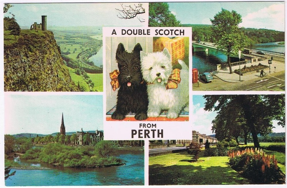 Postcard Double Scotch Perth Tay Valley Queen's Bridge St Leonard's Scotland UK