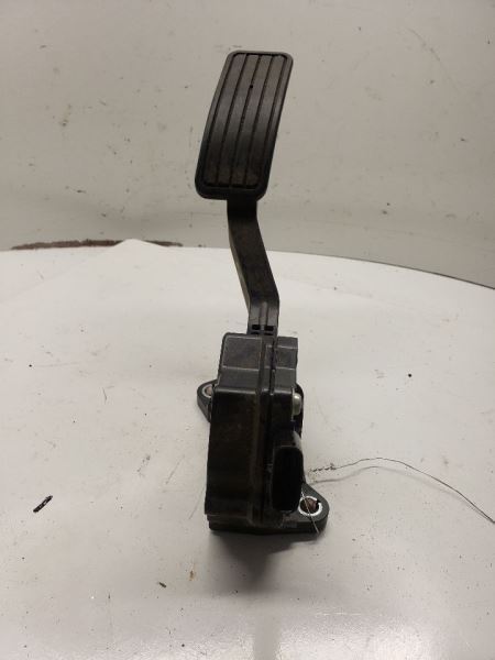 OUTBAKLEG 2007 Accelerator Parts 1088237