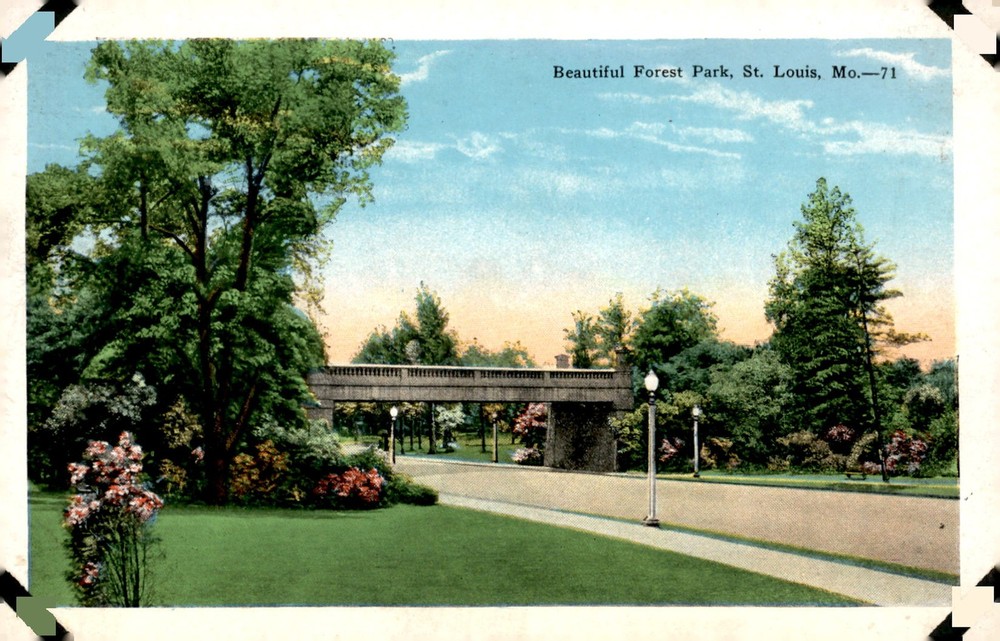 Forest Park, St. Louis, Missouri - 71, 4012-N Postcard