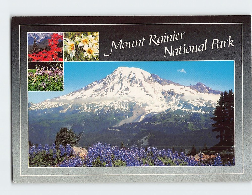 Postcard Mount Rainier National Park Washington USA