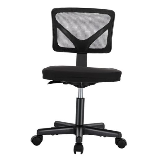 Armless Ergonomic Low Back Computer Desk Chair in Black  