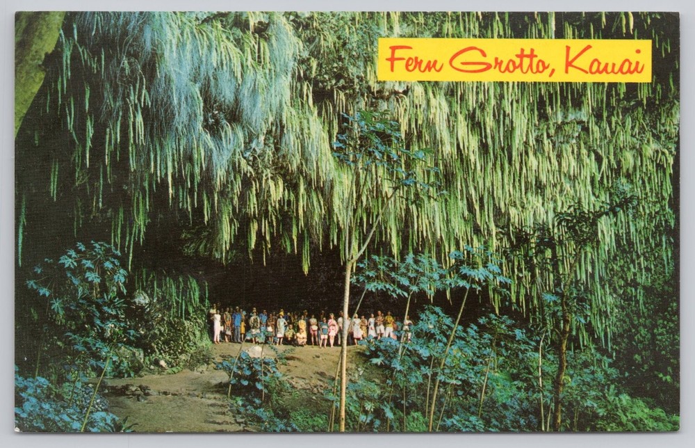 Vintage Fern Grotto Kauai Hawaii Color Photo Postcard by Mike Roberts