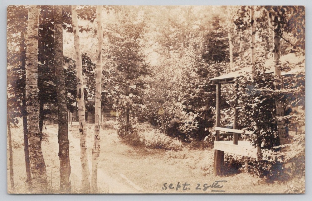 RPPC Rockwood Maine Woods Cabin Scene 1909 Postcard Birch Trees Forest