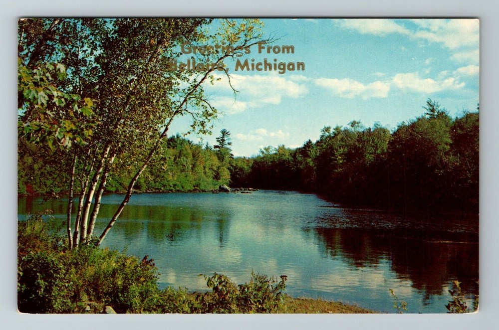 Bellaire MI-Michigan, Scenic Greetings, Lake View, Vintage Postcard