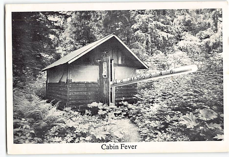 Postcard Cabin Fever Alaska USA