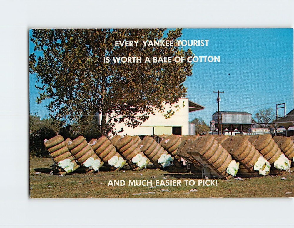Postcard Bales of cotton Greetings From Dixie USA