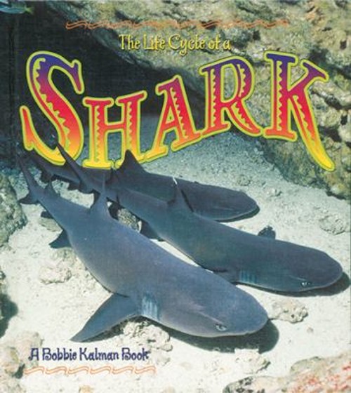 The Life Cycle of a Shark Library Binding Bobbie, Crossingham, JoFree US Delivery | ISBN:0778706699