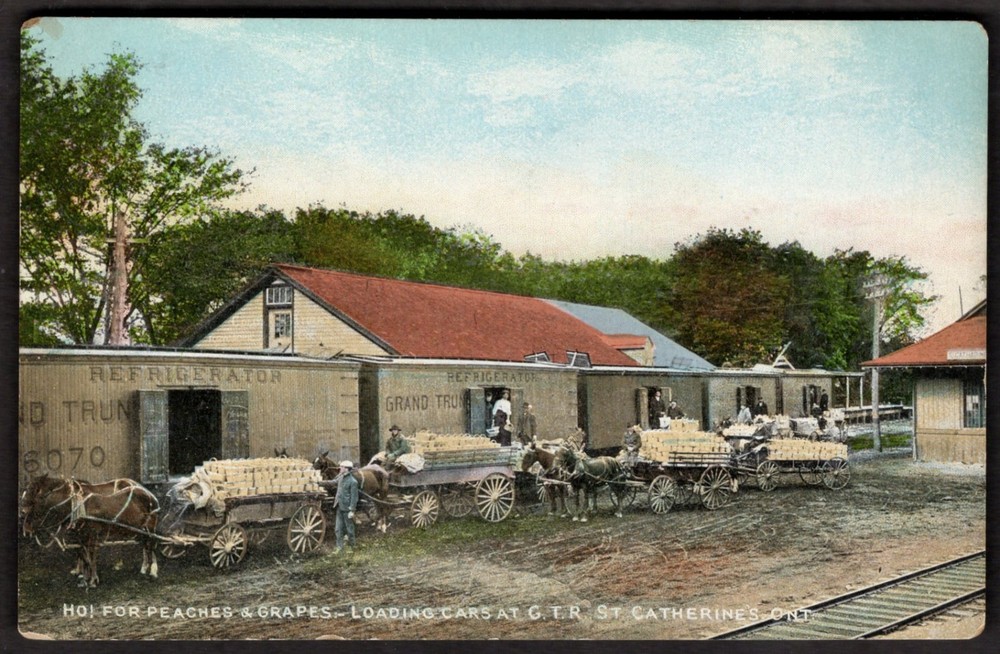Canada ST. CATHARINES Ont Postcard 1910s GTR Train Station Fruit Delivery Wagons