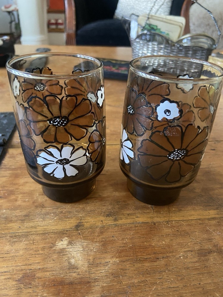 2 Vintage Libbey Camellias Floral Tawny Drinking Glasses Pair 1970s Mod Retro !!