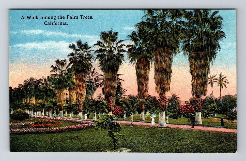 CA-California, A Walk Among the Palm Trees, Vintage Postcard