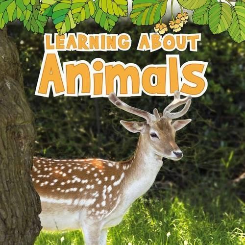Catherine Veitch Learning about Animals (Paperback) Natural WorldAnother great item from Rarewaves USA | Free delivery!