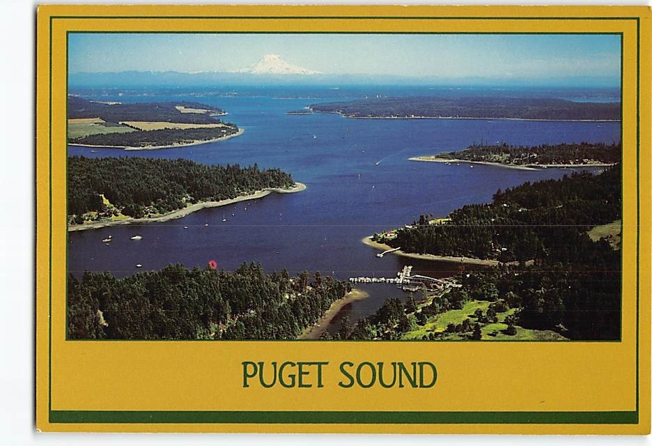 Postcard Aerial View Puget Sound Washington USA
