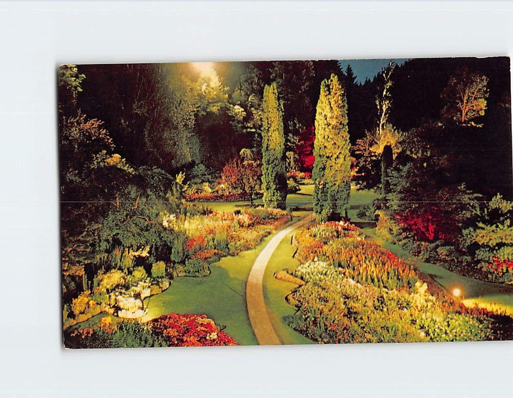 Postcard Sunken Garden Illuminated The Butchart Gardens Victoria Canada