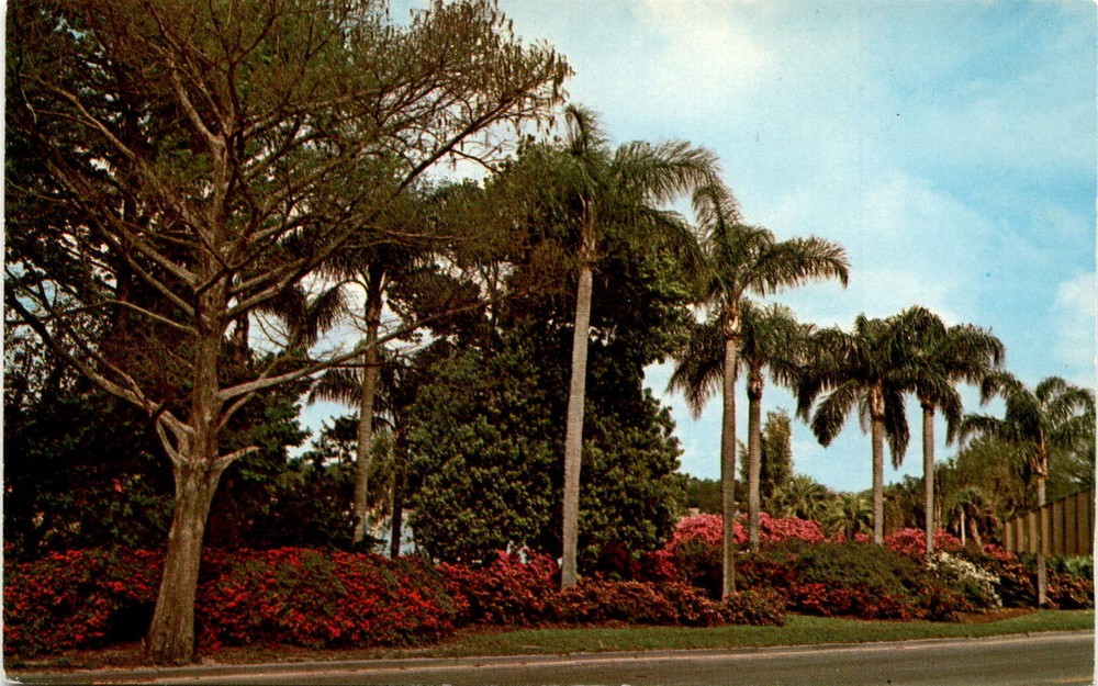 ORLANDO FLORIDA, Lake Ivanhoe, Central Florida Distributors, Winter Postcard
