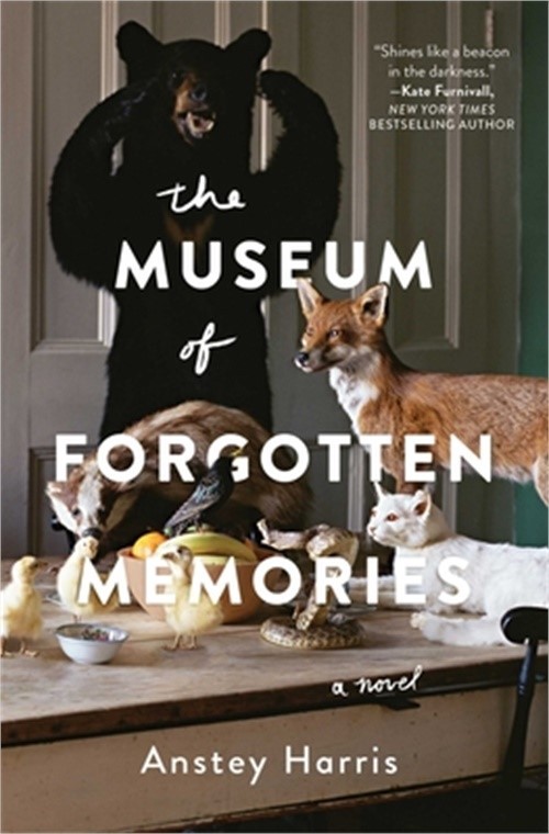 The Museum of Forgotten Memories (Paperback or Softback)