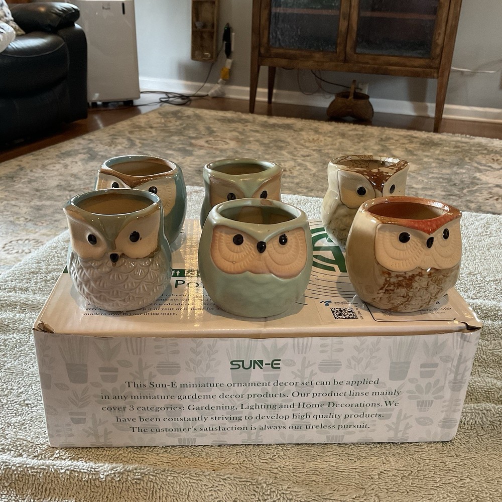 Sun-E Owl Ceramic Bonsai Pots W/ Hole Plant Succulents Bird 6 Pc