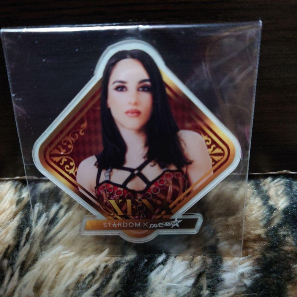 Stardom Wrestling Gina Acrylic Sticker Female Pro Wrestler Collectible Japan