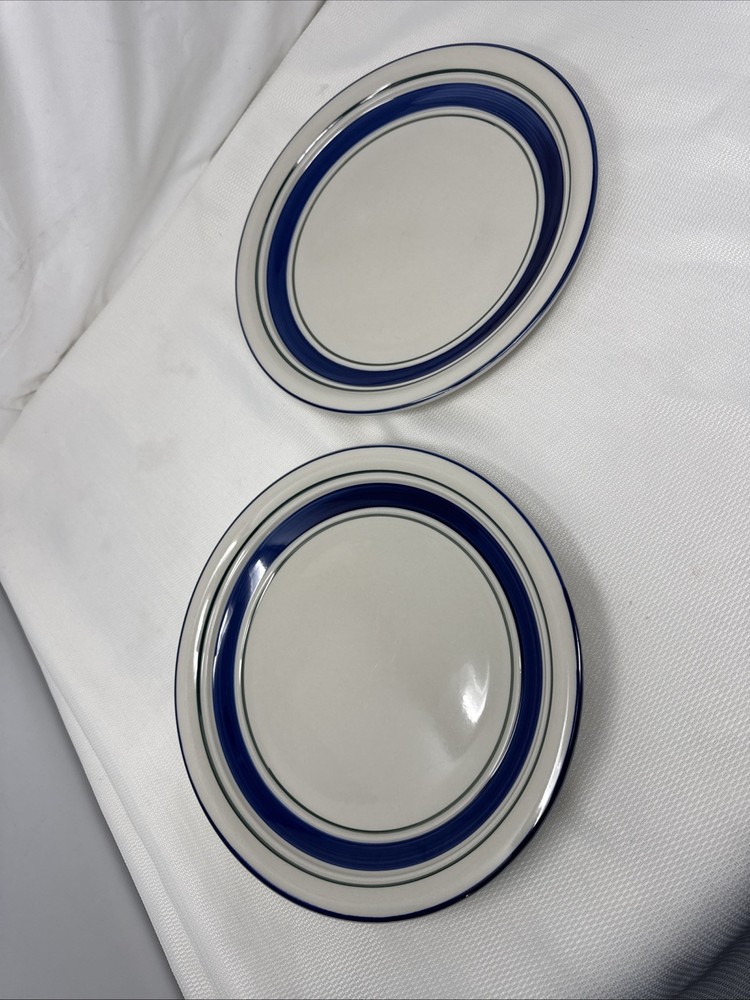 Set Of 2 Vintage Country Crock Dinner Plates Large 10 3/4”