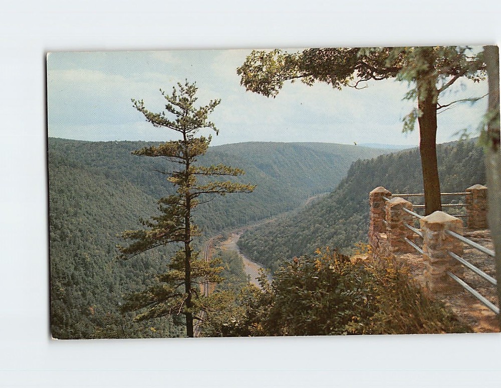 Postcard South view from Lookout, Colton Point State Park, Wellsboro, PA