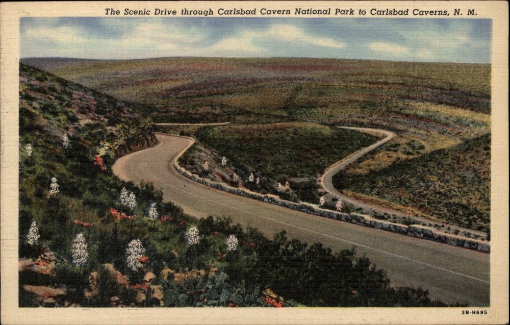 Carlsbad Caverns New Mexico Canyon scenic drive aerial vintage linen postcard