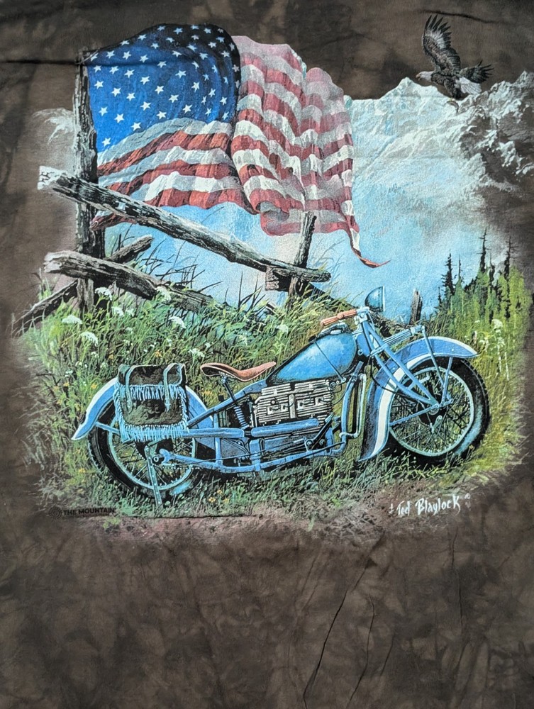 The Mountain Men's T-Shirt Brown 